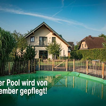 Ferienhaus Mountfrosch Mit Sauna Und Naturpool Monschau Exteriör bild
