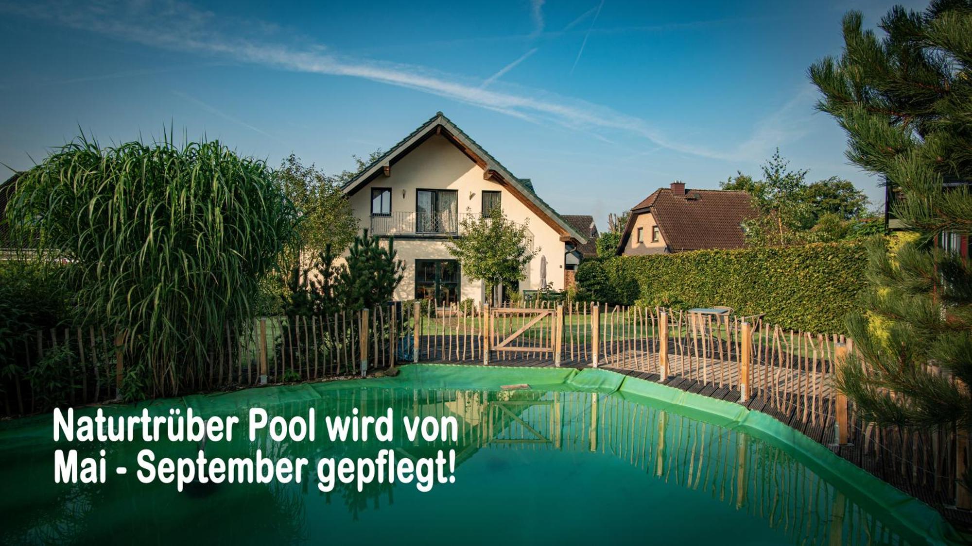Ferienhaus Mountfrosch Mit Sauna Und Naturpool Monschau Exteriör bild
